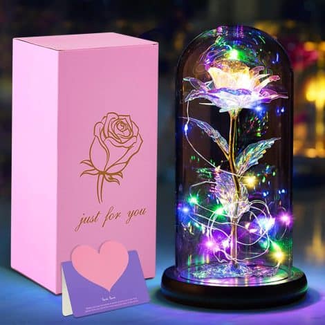 Kit de Rosas, La Bella y La Bestia con una Cúpula de Cristal Elegante, Luces LED, perfecto para regalos en el día de la Madre, Cumpleaños, San Valentín, Bodas y el día de la Mujer.