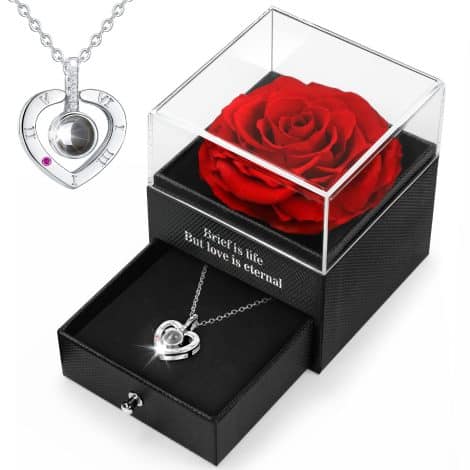 Rosa Eterna Preservada HEGUD con Collar, Regalo Original para Mujer, Novia, Mamá en San Valentín, Aniversario, Día de la Madre, Bodas, Cumpleaños, Navidad.