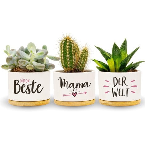 Darlena La Mejor Mamá del Mundo | Regalo perfecto para el cumpleaños de mamá | Set de hierbas para regalar en Navidad o el Día de la Madre | Macetas de cultivo.