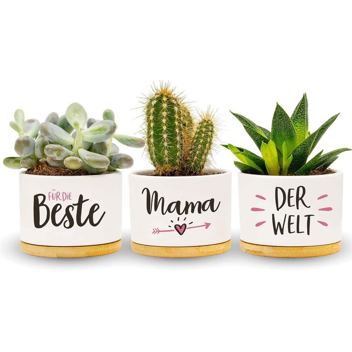 Darlena Mejor mamá del mundo | Regalo para mamá, regalo de cumpleaños | Jardín de hierbas regalos para mamá para cumpleaños, Día de la Madre o Navidad | Macetas para plantar