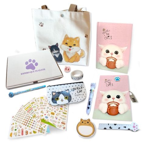 Cuaderno secreto para niña con código – Kit de papelería lindo – Papelería bonita – Papelería Kawaii – Regalo con muchos accesorios (color ROSA)